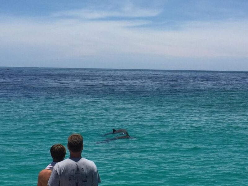 Panama City Beach: Dolphin Watching Trip by Catamaran - Booking and Policies