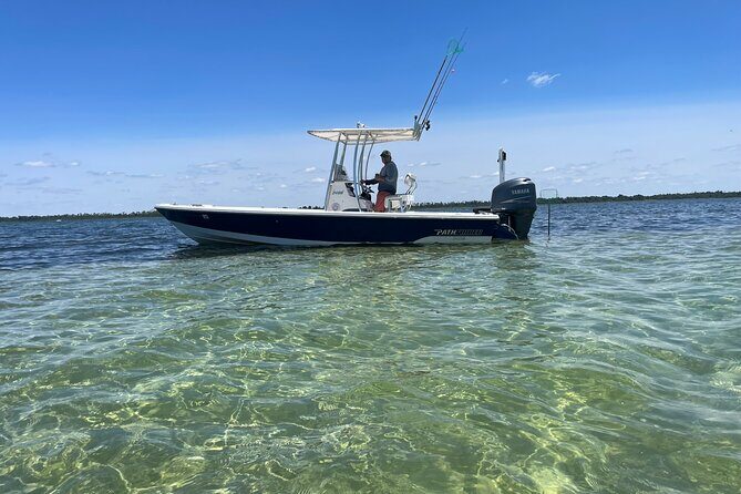 Panama City Beach Florida, Dolphin, Shell Island and Eco Tours - Key Points