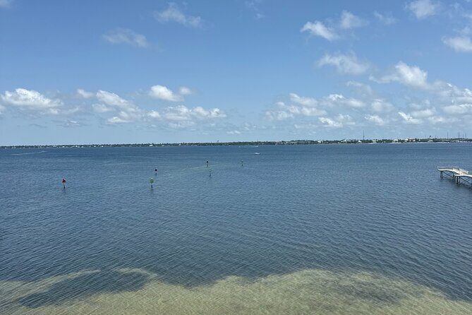Panama City Beach Florida, Dolphin, Shell Island and Eco Tours - An In-Depth Look at the Tour Experience