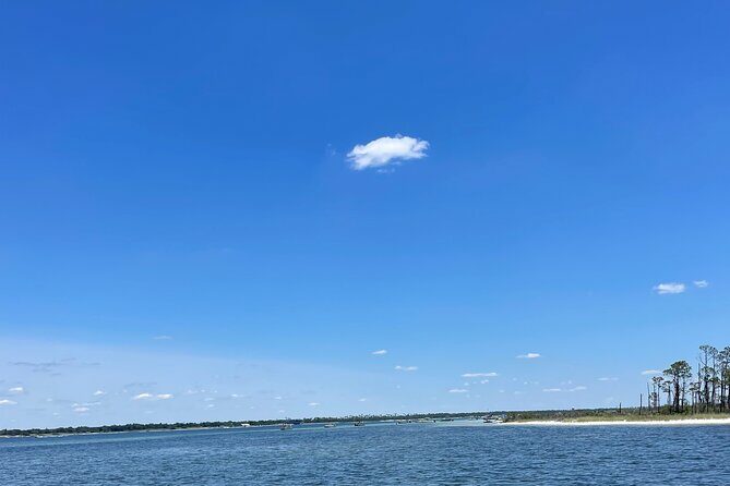Panama City Beach Florida, Dolphin, Shell Island and Eco Tours - FAQ