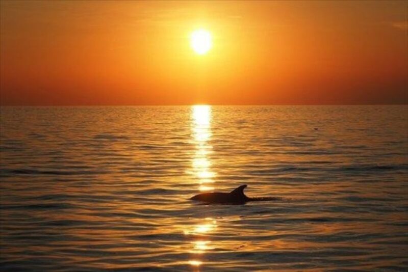 Panama City Beach: Sunset Catamaran Cruise - Cruise Experience Highlights