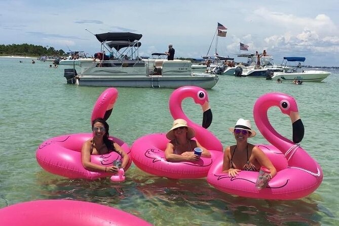 Panama City Beach VIP Guided Pontoon Tour for Snorkel & Beach Hop - Group Participation