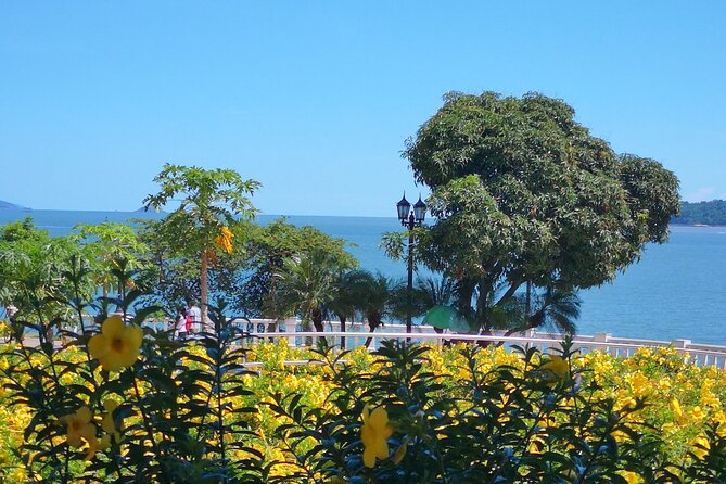 Panama City Like a Local: Customized Private Tour - Expectations and Participant Preparation