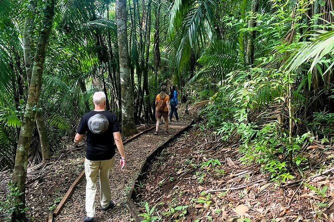 Panama City Metropolitan Park Trail Tour - Key Points