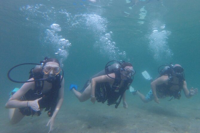 Panama City Scuba Diving Activity for Beginners - Meeting Point Details
