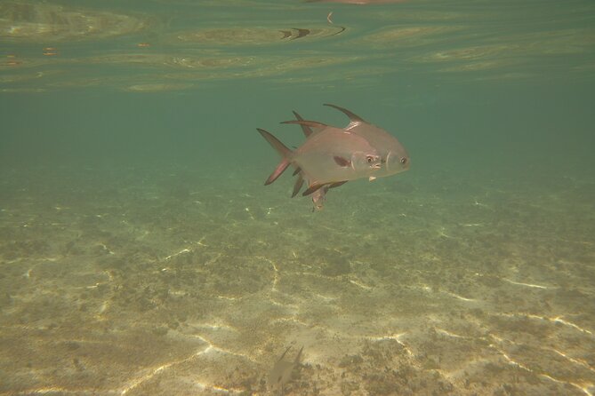 Panama City Scuba Diving Activity for Beginners - Group Size and Capacity