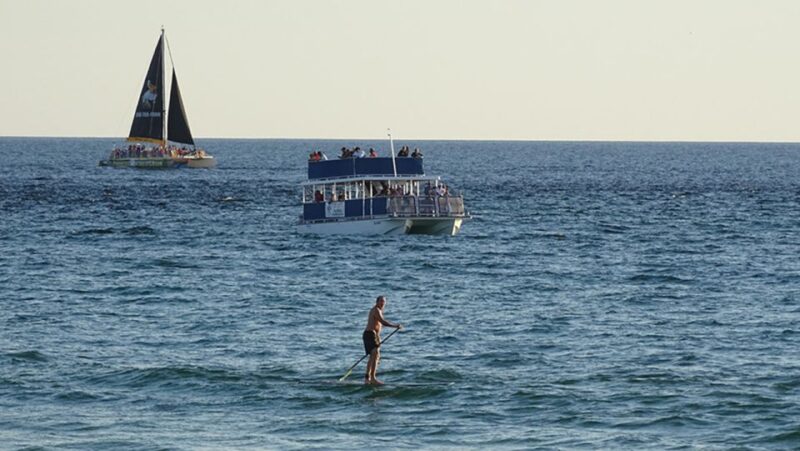 Panama City: Sunset Dolphin Cruise in St. Andrews Bay - Experience Highlights