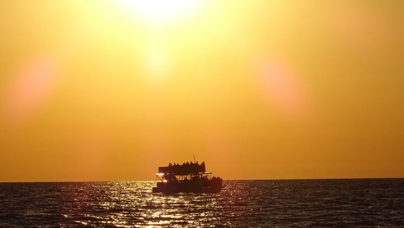Panama City: Sunset Dolphin Cruise in St. Andrews Bay - Cruise Details