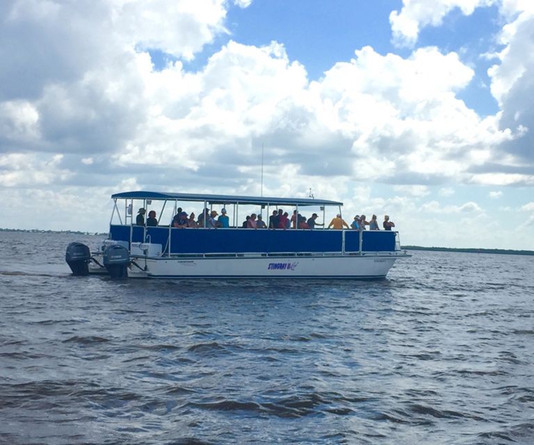 Panama City: Sunset Dolphin Cruise in St. Andrews Bay - Meeting Point and Important Information