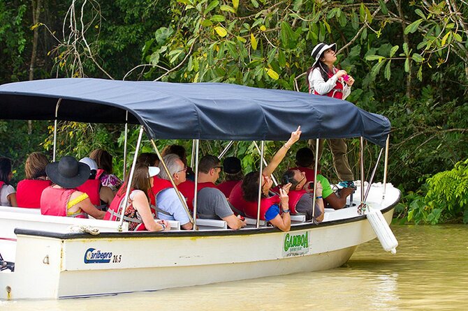 Panama Eco Adventure: Gatun Lake, Aerial Tram & Sloth Sanctuary - Visiting the Sloth Sanctuary