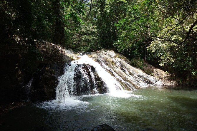 Panama's Farming Region on Horseback - Exploring Cerro Azul and Anton Valley