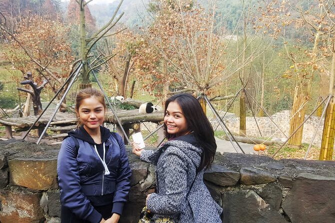 Panda and Cultural Chengdu 1 Day Tour - Inclusions and Recommendations
