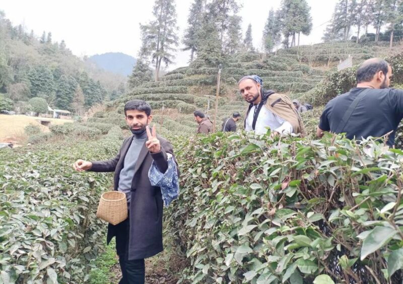 Panda and Green Tea Making Tour - Inclusions and Exclusions