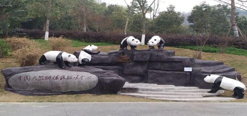 Panda and Green Tea Making Tour - Important Information