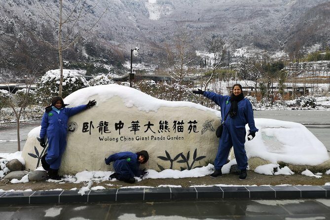 Panda Volunteer expperience in Dujiangyan or Wolong Panda Base - Key Points