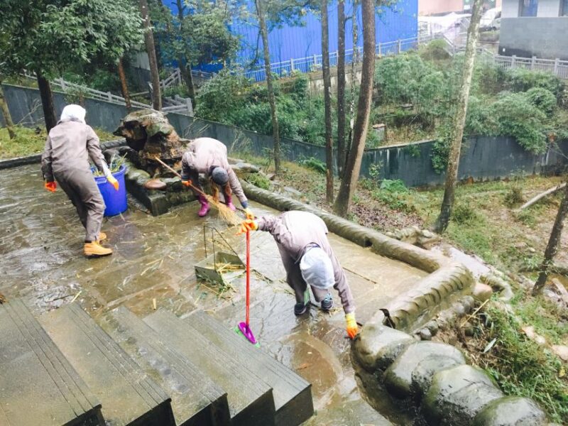 Panda Volunteer Project Day Trip(Wolong/Du Jiang Yan) - Transportation and Pickup
