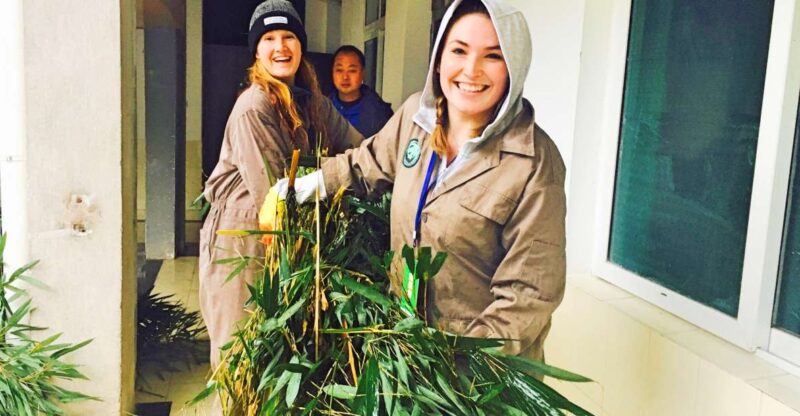 Panda Volunteer Project Day Trip(Wolong/Du Jiang Yan) - Customer Feedback