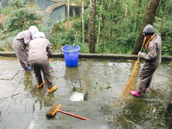Panda Volunteer Project Day Trip(Wolong/Du Jiang Yan) - Reservation and Payment