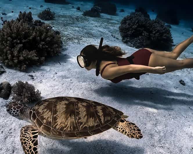 Panglao Bohol: Balicasag Island Hopping & Dolphin Watching - Dolphin Watching and Encounters