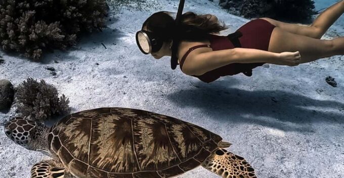 Panglao Bohol: Balicasag Island Hopping & Dolphin Watching - Additional Information