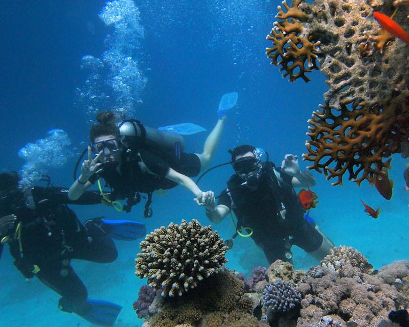 Panglao Bohol: Try Scuba Diving at Napaling and Sardines - Scuba Diving Experience