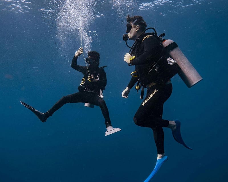 Panglao Bohol: Try Scuba Diving at Napaling and Sardines - Itinerary Details