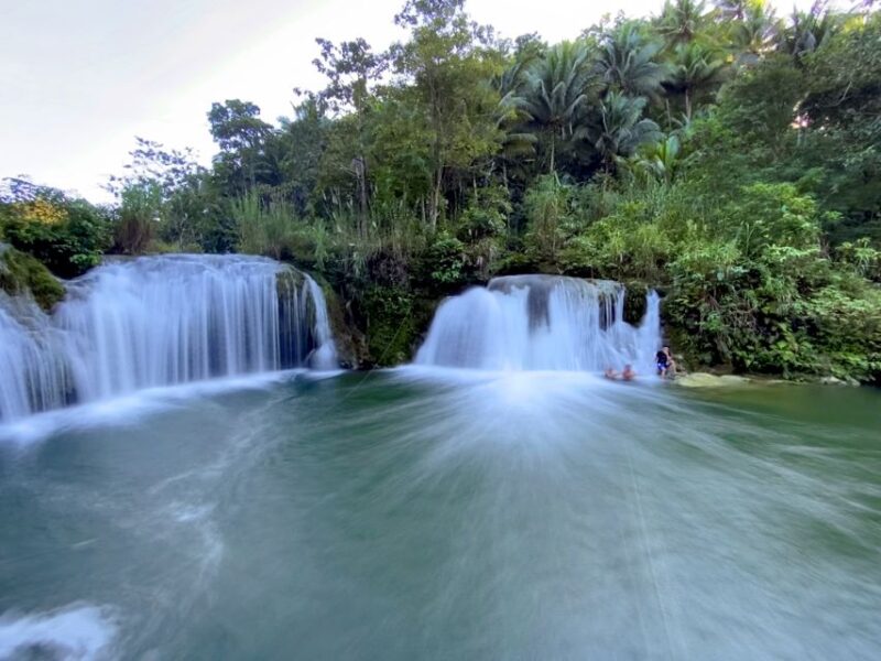 Panglao: Dao, Forests, and Tarsier Sanctuary Tour With Lunch - Pickup and Initial Stops