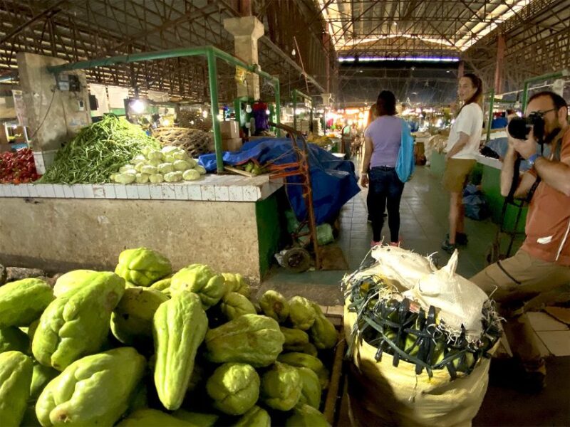 Panglao: Dao, Forests, and Tarsier Sanctuary Tour With Lunch - Lunch and Local Cuisine