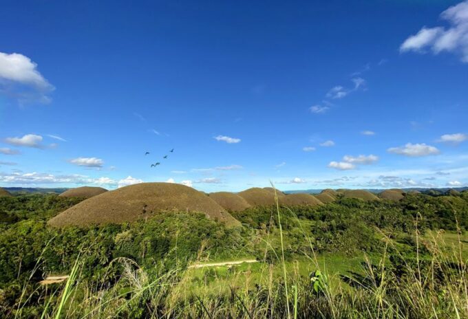 Panglao: Dao, Forests, and Tarsier Sanctuary Tour With Lunch - Frequently Asked Questions