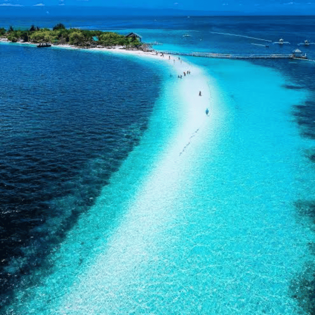 Panglao: Island Hopping W/Balicasag & Virgin Island (Shared) - Key Points