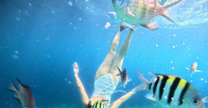 Panglao: Island Hopping W/Balicasag & Virgin Island (Shared) - Customer Feedback