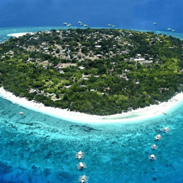 Panglao: Island Hopping W/Balicasag & Virgin Island (Shared) - Dolphin Watching at Sunrise