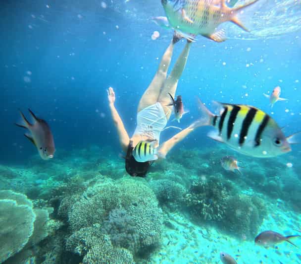 Panglao: Island Hopping W/Balicasag & Virgin Island (Shared) - Snorkeling at Balicasag Island