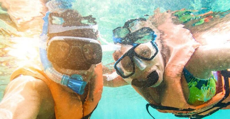 Panglao: Snorkeling at Napalingreef With Sardines Experience - Itinerary and Logistics