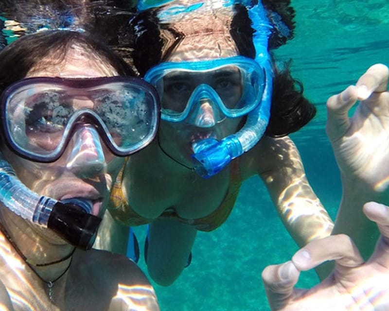 Panglao: Snorkeling at Napalingreef With Sardines Experience - Marine Life and Ecosystems