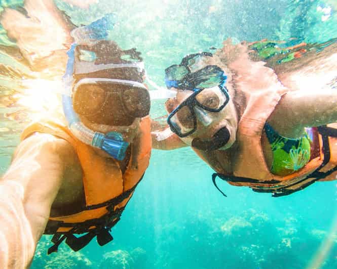 Panglao: Snorkeling at Napalingreef With Sardines Experience - Guided Tour and Photography