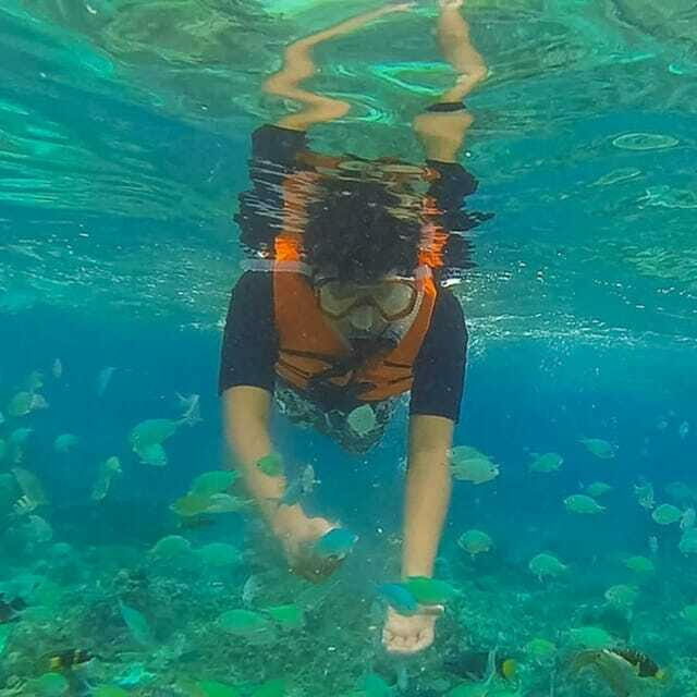 Panglao:Balicasag Island Tour with Turtle & Dolphin Watching - An In-Depth Look at the Tour