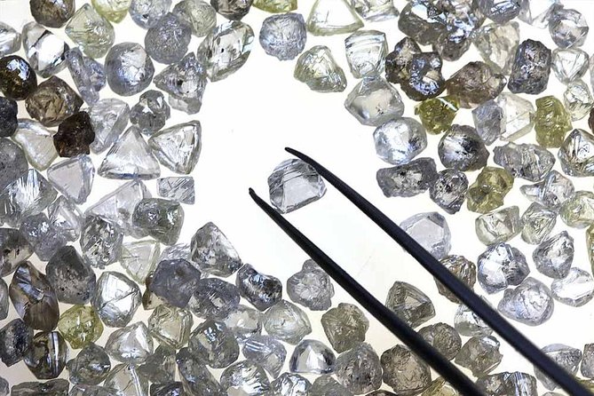 Panna Diamond Mining Tour With Lunch Review - Key Points