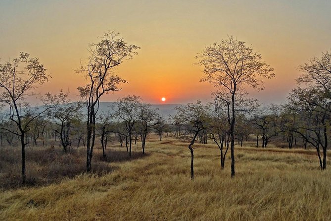 Panna Tiger Reserve Tour From Khajuraho - Highlights of the Tour