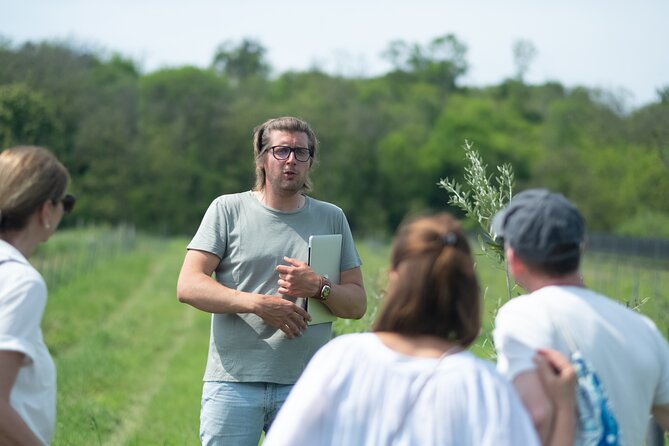 Pannolio Olive Experience in Eisenstadt - Discovering Olive Oil Tasting