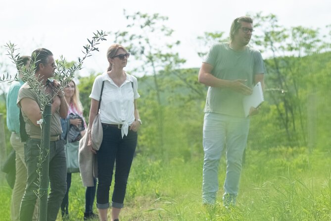 Pannolio Olive Experience in Eisenstadt - Visiting the Meeting Point