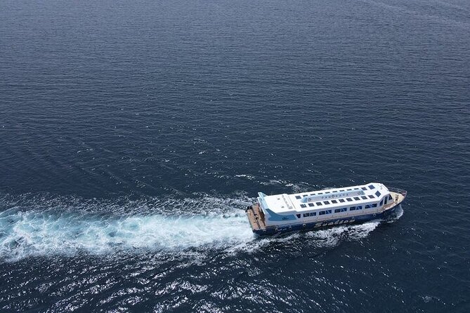 Panorama Semi Submarine Snorkelling Cruise in Makadi Bay - Whats Included in the Cruise