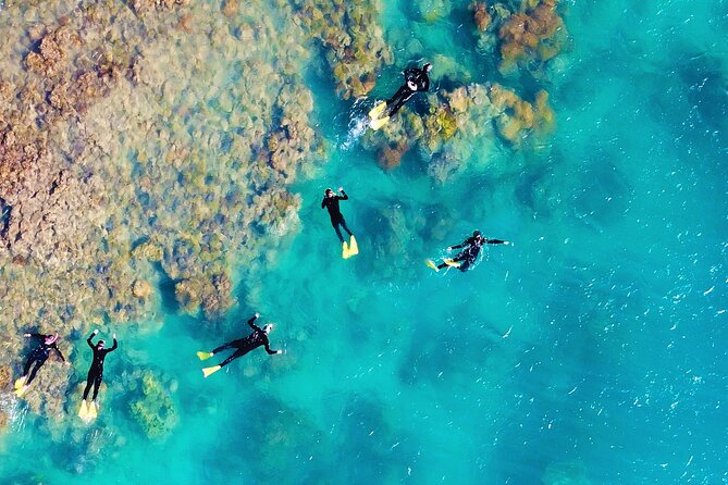 Panorama: the Ultimate Seaplane Tour - Great Barrier Reef & Whitehaven Beach - Whitehaven Beach Exploration