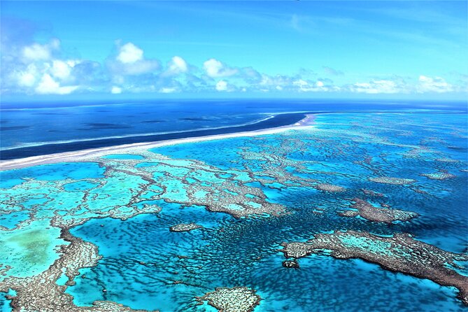 Panorama: the Ultimate Seaplane Tour - Great Barrier Reef & Whitehaven Beach - Included Amenities