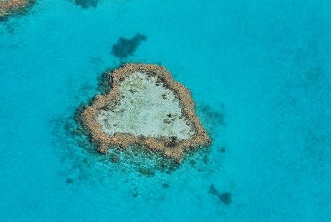 Panorama: the Ultimate Seaplane Tour - Great Barrier Reef & Whitehaven Beach - Activity Details