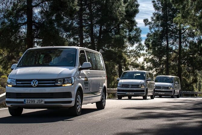 Panorama VIP Tour in Gran Canaria - Group Size and Accessibility