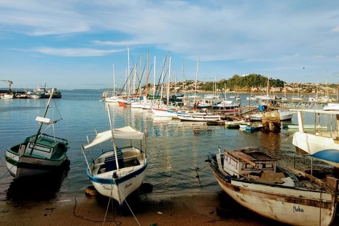 Panoramic Bahia - Accessibility and Group Size