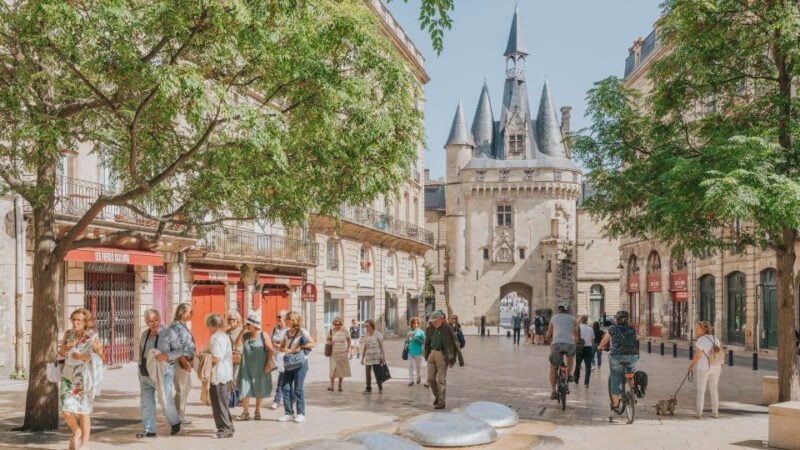 Panoramic Bordeaux Tour in a Premium Vehicle With a Guide - Pickup
