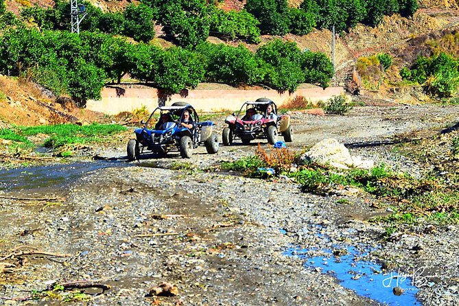 Panoramic Buggy Tour From Moclinejo/Malaga (Buggy Station) - Additional Details