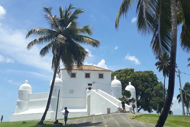 Panoramic City Tour - Cultural Experiences